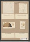 Coscinodiscus subtilis Ehr. (de-Toni-Nr.: Genus 202, Species 4941) Zeichnungen Sammlung Grunow Nr. 8529 (NHMW-BOT-W0378158)